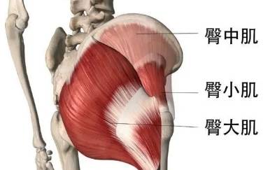 锻炼臀型的瑜伽动作稳定髋部紧实肌肉让你的臀部不再扁平Bsport体育！(图3)